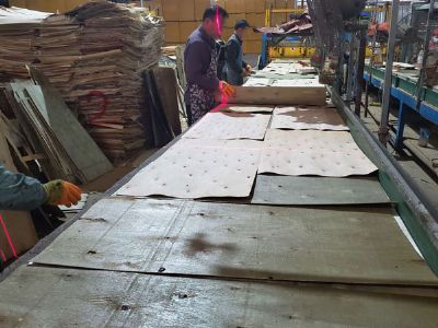 膠合板排版車間